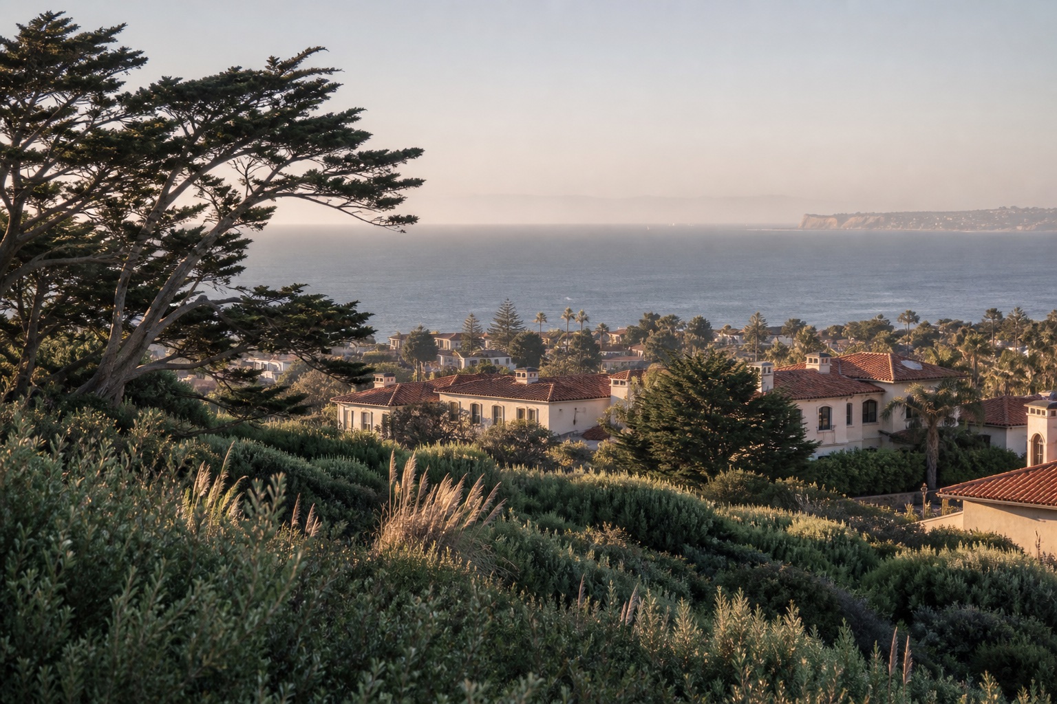 Coastal bluff neighborhood with ocean views and mature cypress trees