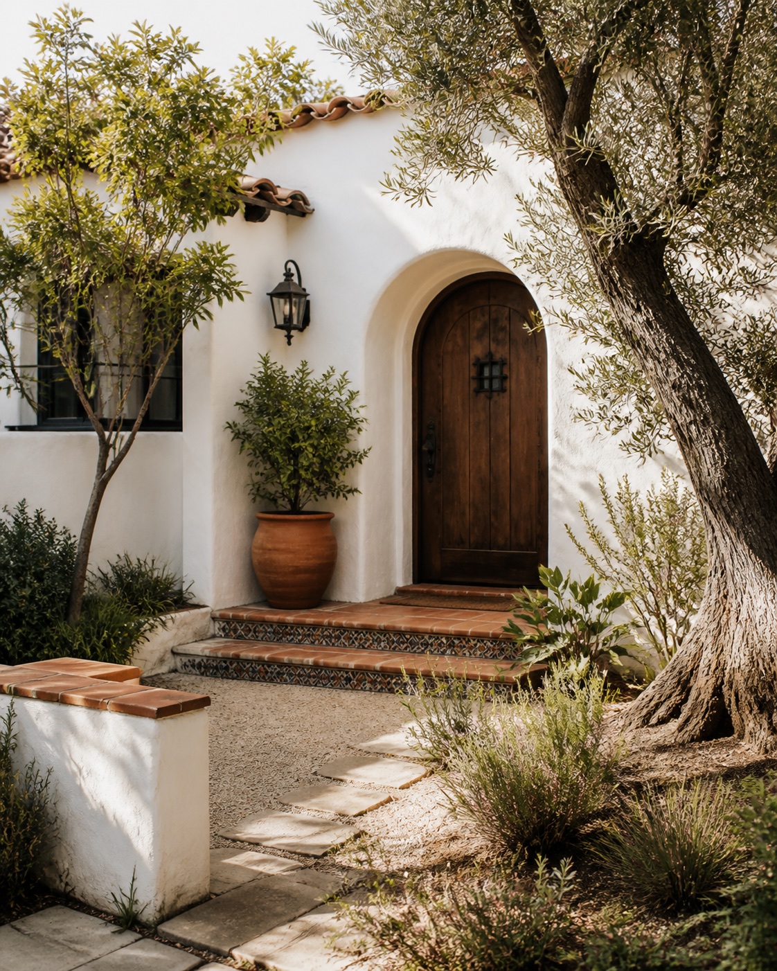 Sunlit Spanish Revival entry with terracotta tile and an olive tree